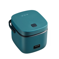 Cuiseur à riz portable personnalisé de 1,2 L pour 1 à 2 personnes Cuiseur électrique multifonction avec pot à revêtement antiadhésif