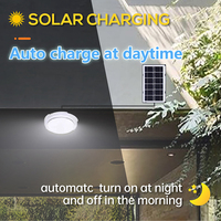 Plafonnier solaire 60W pour intérieur, lampe LED domestique avec télécommande, panneau en polysilicium, contrôle de la lumière, éclairage nocturne pour balcon et couloir
