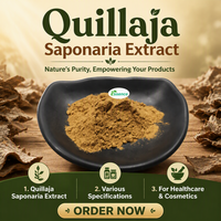 Extrait de Cuirasse de Quillaja Saponaria Naturel en Poudre, Fourniture d'Usine, Saponine 60% 80% 90%