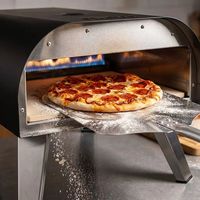 Four à pizza au gaz portable d'extérieur en acier inoxydable pour les fêtes de barbecue dans la cour