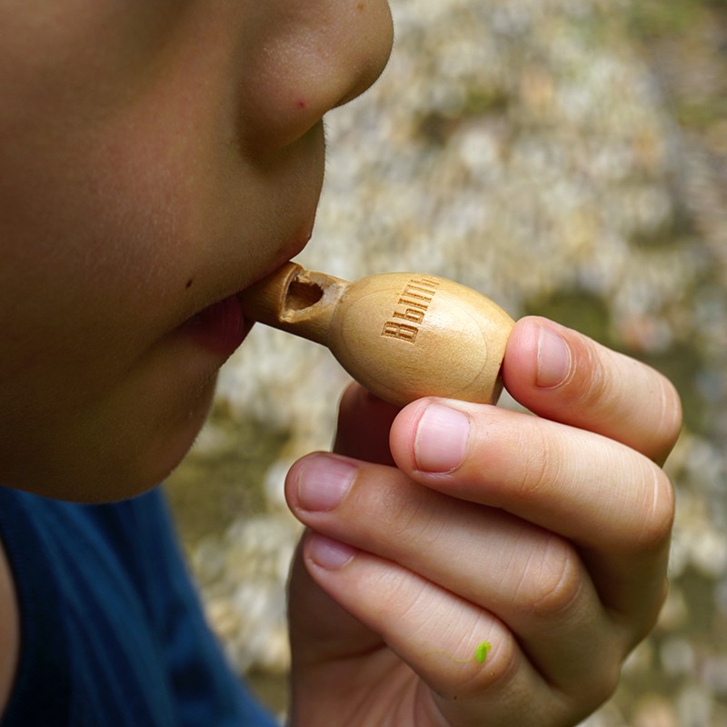 Деревянные мини карманные свистки, деревянные музыкальные инструменты, игрушка для детей, Деревянный свисток для птиц