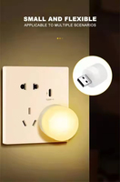 Lampe de nuit LED USB à alimentation CC au design rustique Blue Label et ampoule rechargeable pour chargeur mobile