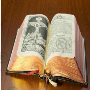 Papel de Impresión de Alta Definición y Suavidad para Biblias, Instrucciones Médicas y Diccionarios, de 28gsm a 60gsm - Product Image 2
