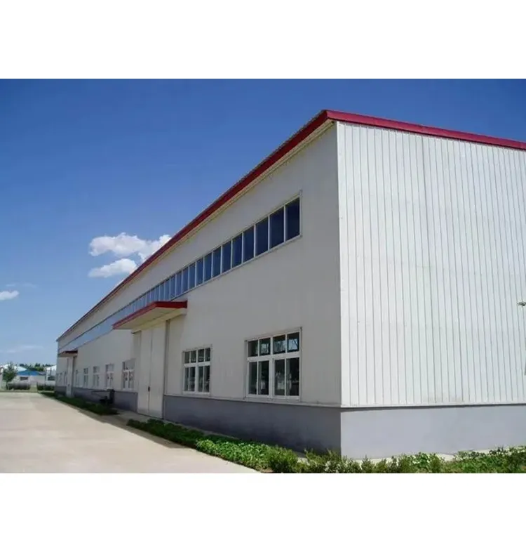 Professional Designed Steel Structure Workshop Prefab Store Steel Structure Building Industrial Warehouse