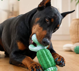 Jouet à mâcher en caoutchouc en forme de cactus pour chien, durable, pour le nettoyage des dents, jouet interactif pour animaux de compagnie, pour chiens de taille moyenne et grande, jeu en intérieur - Product Image 5