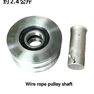 Polea de Nylon de Doble Ranura de 100 mm para Rueda Guía de Elevador de Construcción con Rodamiento - Product Image 4