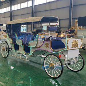 Carruajes Turísticos Victoria a Precio de Fábrica, Transporte Especial Eléctrico para Bodas, Carruajes Turísticos en Venta - Product Image 5