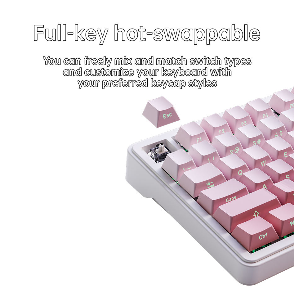 KY75 Mechanical Keyboard-75-Key RGB Backlit Wireless/USB 2.4GHz ...