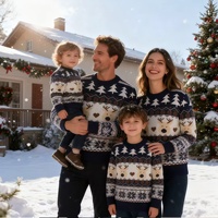 Pulls pour hommes, femmes et enfants, motifs de Noël, chemises en tricot, adaptés aux tenues de Noël