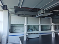 Campana de Extracción de Humos de Sobremesa con Conductos de PP/SS/Acero para Laboratorio
