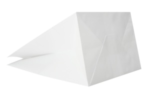 Sac de livraison alimentaire Made in Italy, marque Carte Dozio, kraft blanc, poignée torsadée, taille 27+17x29 cm, lot de 50 pièces - Product Image 2