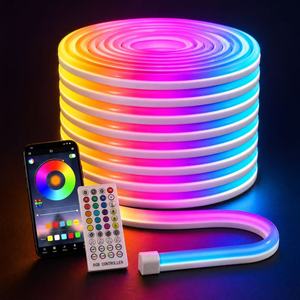 Bande LED Néon Flexible RGB 12V 6x12mm IP65 Étanche PVC Rouleau de 5m Télécommande Dimmable Coupable pour Jardin et Aménagement Paysager - Product Image 1