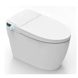 USA FREE SHIPPING Bathroom Modern Toilet Flush Heated Wc Closestool Electronic Automatic Intelligent Smart Toilet