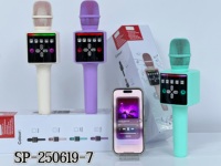 Haut-parleur de chant Portable RGB Bluetooth Microphone Haut-parleur portable Haut-parleur sans fil avec changeur de voix Echo Reverb Party Mic