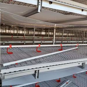 Pouliche galvanisée à chaud avec batterie automatique à 4 niveaux en forme de H, cage d'élevage de poulets de chair au meilleur prix, durée de vie de 20 ans - Product Image 3