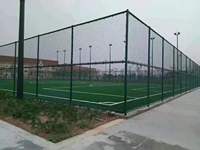 Clôture en treillis galvanisé et PVC personnalisable, anti-vol, résistante à la rouille, pour cour, stade, maille losange