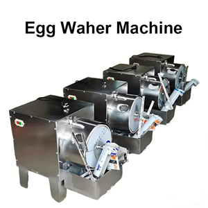 เครื่องล้างไข่อัตโนมัติสแตนเลสพร้อมมอเตอร์ สำหรับโรงงานผลิตไวน์ เบเกอรี่ โรงสีแป้ง ใช้สำหรับทำความสะอาดและอบแห้ง รับประกัน 1 ปี - Product Image 2