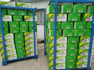 กระเทียมสดสีขาวบริสุทธิ์กระเทียมสดสีขาวธรรมชาติในจีน - Product Image 5