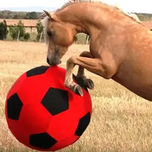 布雷达锻炼巨型马玩压力球套包和马训练