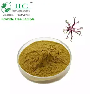 Kostenlose Probe Halal Manufacture 2,5% 20,0% Harpagosid Devil's Claw Root Extract