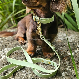 Hong-Kong Muker fabricante OEM personalizado PVC recubierto de nylon perro caminar correr entrenamiento senderismo conduce línea con gancho de latón - Product Image 3