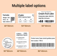 Printer Label Foto Termal Y50 Mobile, Printer Mini Portabel & Nirkabel USB untuk Pencetakan Catatan Stiker Sehari-hari