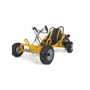 4 wheels Outdoor buggy gas racing go kart 6.5HP ,196CC go karts whole price top quality upgrade welcome
