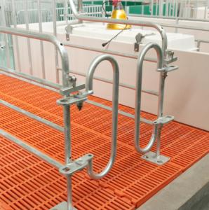 Günstiger Preis Schweinezucht-Ausrüstung Sauenkäfig Abferkelbox zum Verkauf - Product Image 6