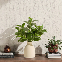 Ensemble de 4 petites plantes artificielles d'eucalyptus vert et de succulentes Winter Shore, décoration intérieure rustique durable pour salle de bain/bureau