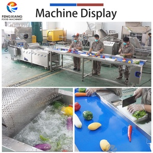 OEM & ODM <b>Bell</b> Pepper, Coriandar, Lettuce, Cucumber, Cabbage Vegetable Washing Machine with Drum - Product Image 3