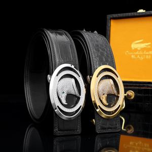Cinturón de cuero de cocodrilo personalizado, lujoso cinturón clásico para hombre con cabeza de águila y diamantes incrustados a mano. - Product Image 1