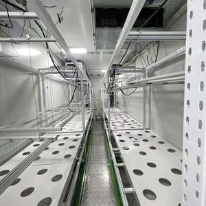 Conçu pour la saveur : culture de <span class=keywords><strong>tomates</strong></span> <span class=keywords><strong>anciennes</strong></span> de qualité supérieure dans les boîtes de culture Reinfa - Product Image 4