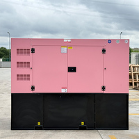 Groupe électrogène diesel insonorisé de type ouvert refroidi par eau 80kW 100kVA avec ATS 50Hz 60Hz CE