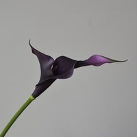 Pabrik Y-238 Grosir Bunga Buatan 2 Kepala Calla Lily Bunga Calla Lily Palsu untuk Dekorasi