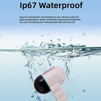 Traceur GPS pour pigeon en temps réel, étanche IP67, mini 2,2g, enregistreur de données BT 5.0, compatible Android, autonomie de 30 jours, suivi des oiseaux