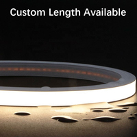 Bande lumineuse LED en silicone étanche, sans points lumineux, à éclairage uniforme, avec embout de câble, pour cuisine, armoire, vitrine, éclairage linéaire