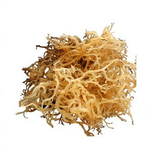 Algues marines Cottonii séchées 100% naturelles de haute qualité / Extrait de carraghénane Kappaphycus Alvarezii entier, emballage sous vide, Lam Dong Salty - Product Image 1