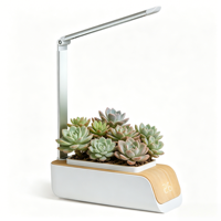 Jardinière intelligente à arrosage automatique pour bureau, kit de jardinage hydroponique avec minuterie automatique