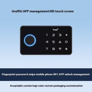 Armoire à double porte en bois avec serrure intelligente NFC, reconnaissance d'empreintes digitales et mot de passe, pour rangement de chaussures et d'archives, compatible international - Product Image 6