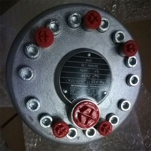 Pompe à huile de haute qualité Hawe V30D-075RDN-2-0-02 /25/1450 V60N-090 RDN-1-0-02/LLSN-300 - Product Image 6