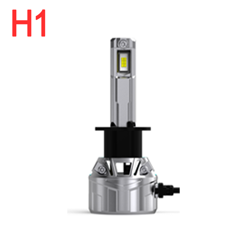 H1