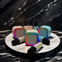 Mini microphone audio portable pour la famille Karaoké chantant à la maison Haut-parleur portable avec deux micros
