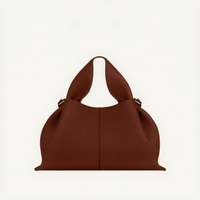 Sac à main messager tendance pour femme, motif litchi, style dumpling, collection transfrontalière Polen Bollinger Cloud Bag