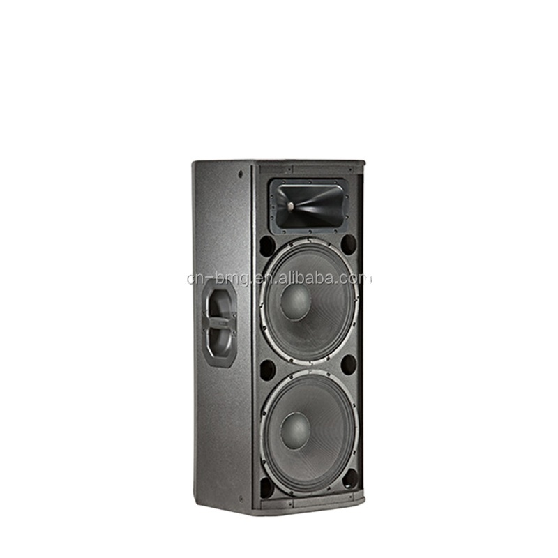Professional Stage Sound Kit Dual 15