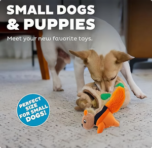 ของเล่นสุนัขแบบใหม่ ดีไซน์นุ่มนิ่ม ของเล่นสุนัขแบบมีเสียงบีบ รูปทรงกระรอก ของเล่นสำหรับสุนัขที่มีพลัง - Product Image 5