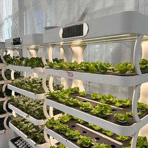 Système de jardinage vertical hydroponique SKYPLANT amélioré à 5 niveaux, kit de culture intérieur LED avec pompe de circulation d'eau silencieuse - Product Image 3