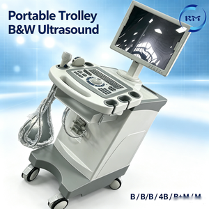 Carrito de Ultrasonido Modo B al Mejor <span class=keywords><strong>Precio</strong></span>, Carrito con Monitor de 15 Pulgadas, Multifrecuencia, Mediciones OB/GYN para Diagnóstico en Hospitales y Clínicas - Product Image 2