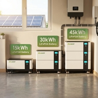 Stock UE Delongtop Batterie au lithium-ion LiFePO4 mobile 51,2 V 628 Ah 600 Ah 32 KWh 30 KWh Système d'énergie solaire domestique de stockage d'énergie