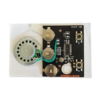 Module musical programmable pour carte de vœux DIY, carte de développement photosensible avec enregistrement audio et musique en 30 secondes