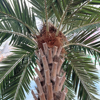Palmier artificiel, plante en plastique, faux palmier Washington, résistant aux UV, arbre artificiel pour extérieur